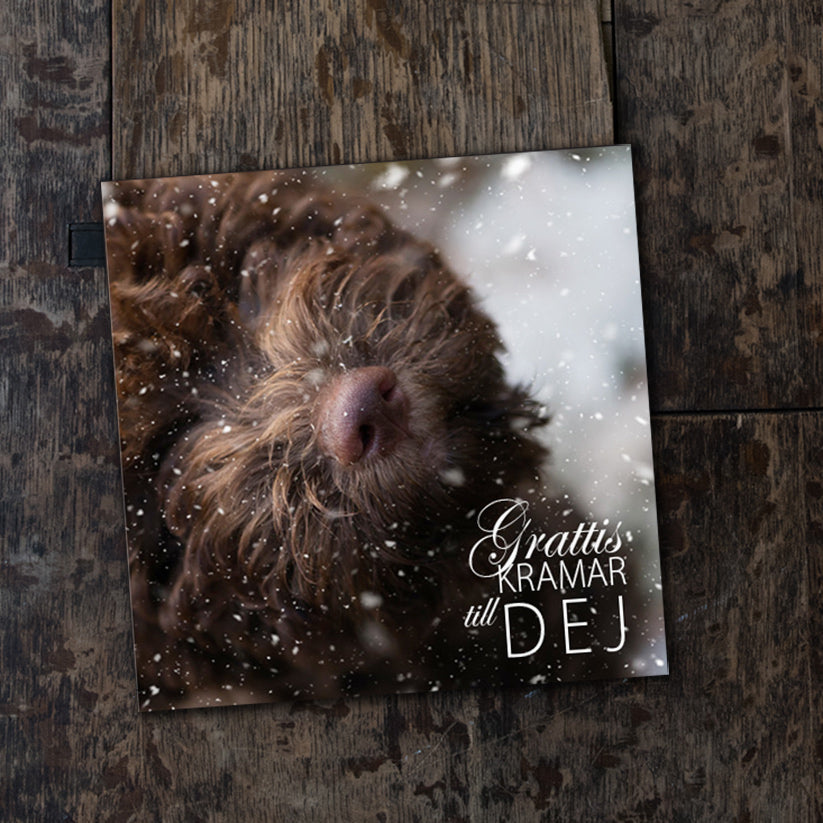 Grattiskramar till DEJ - vikt kort 2264