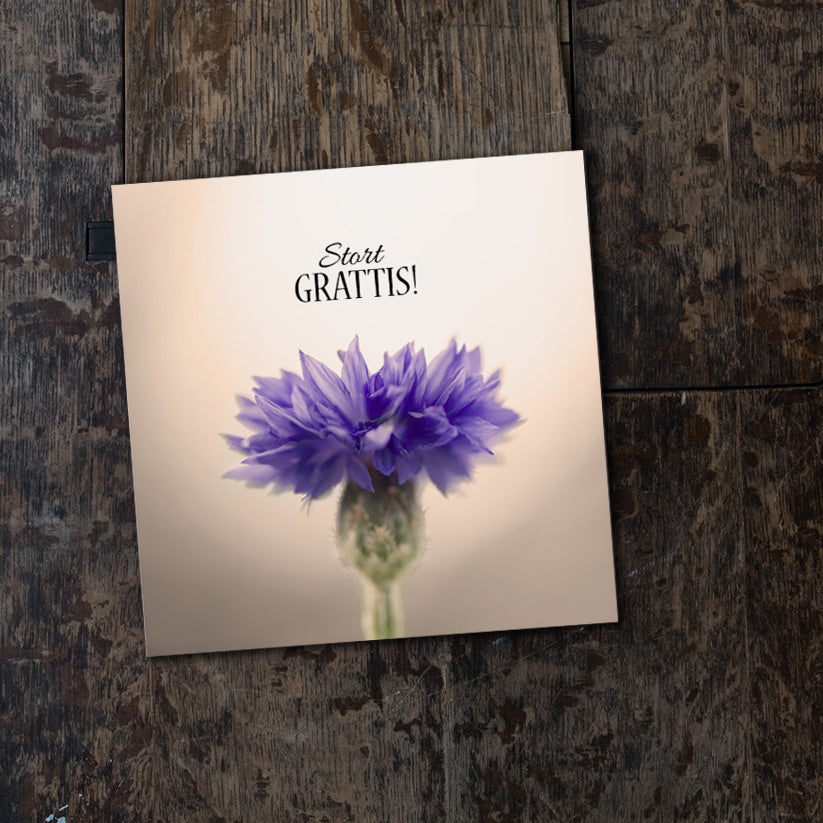 Stort grattis - vikt kort 2150