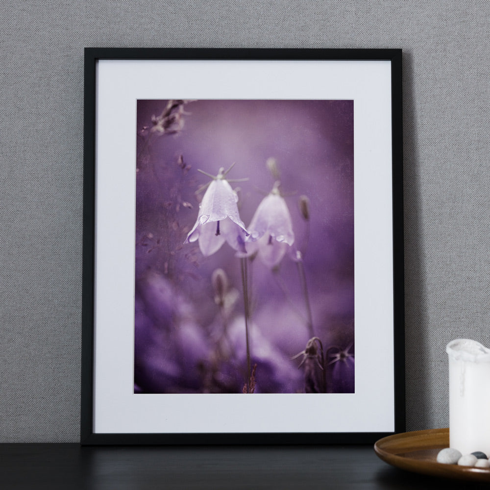 Fotoposters