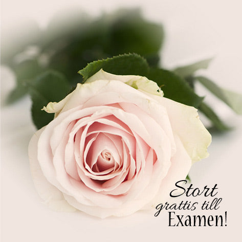 Till Examen - vikt kort 2183