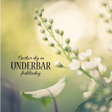 Önskar dig en underbar födelsedag - vikt kort [2147]