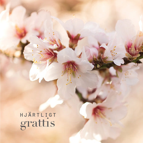Hjärtligt grattis - vikt kort [2248]